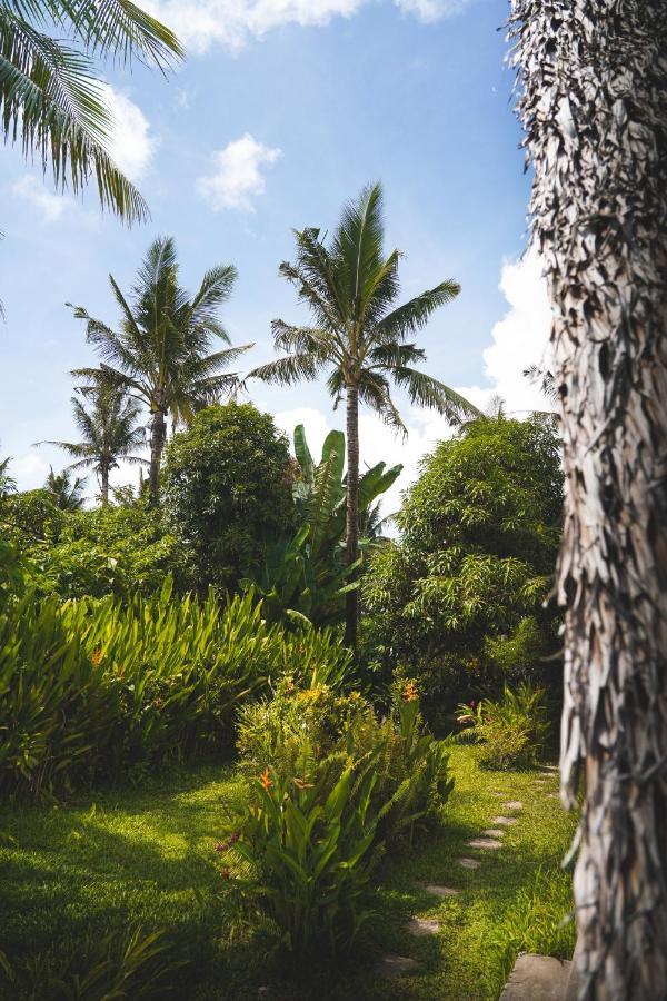 Triangle Palms Siargao Villa General Luna  Exterior photo